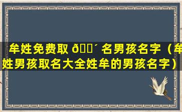 牟姓免费取 🌴 名男孩名字（牟姓男孩取名大全姓牟的男孩名字）